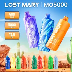 Lost Mary